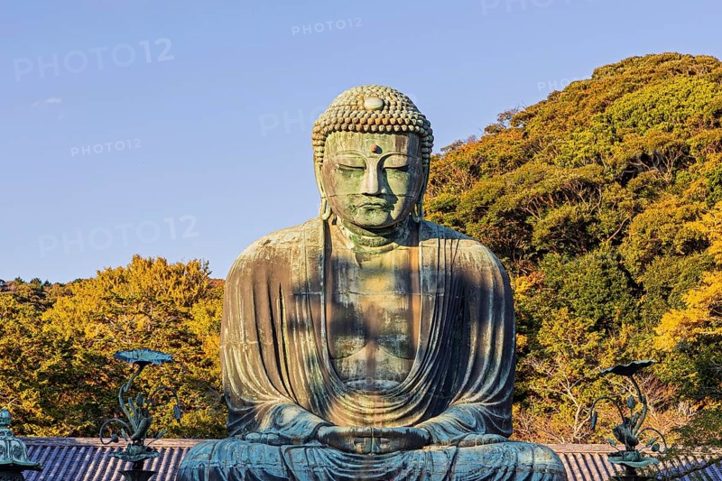 The Bronze Great Buddha