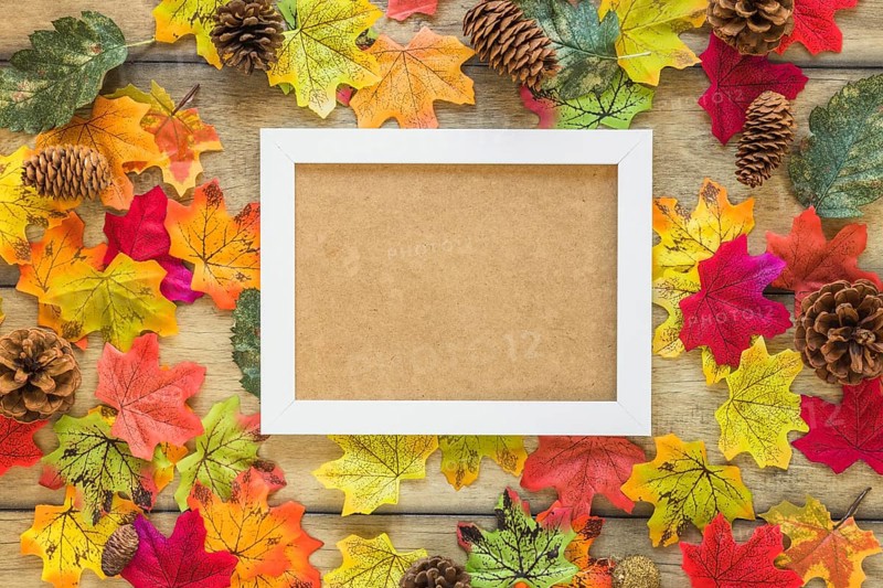 Frame foliage snags
