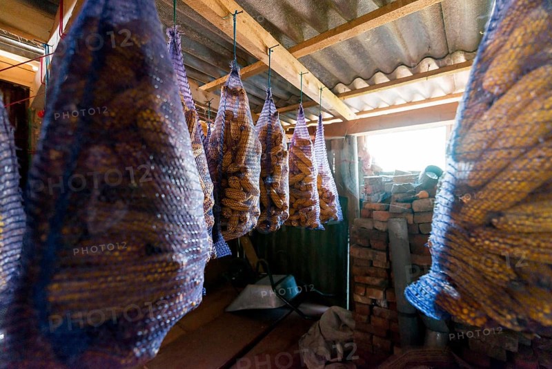 Storage with corn mesh bags