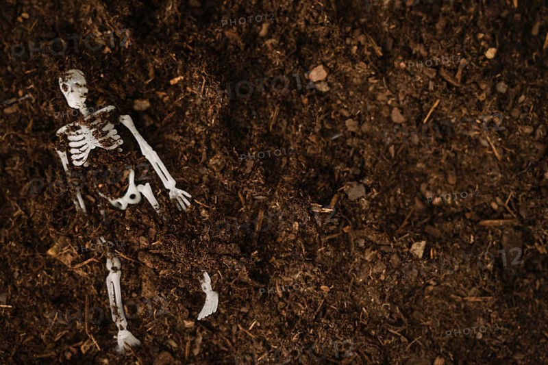 Halloween decoration with buried skeleton