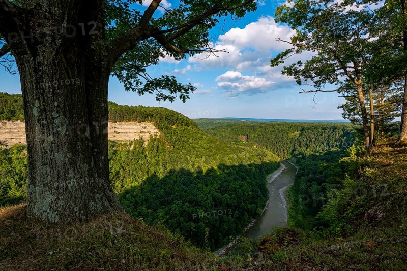 Letchworth State Park