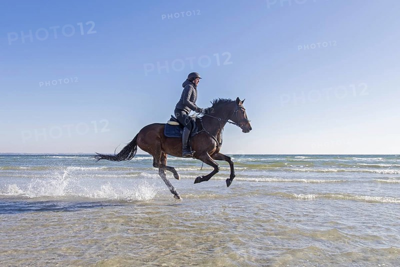 Horsewoman