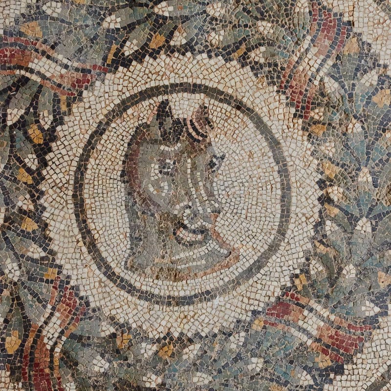Horse's head
