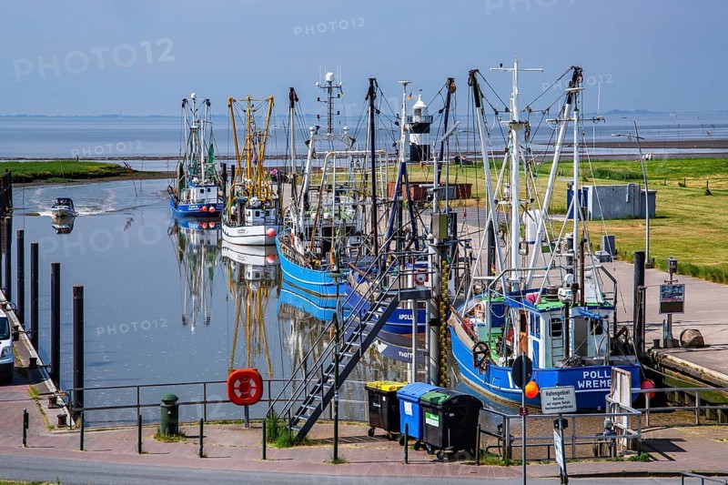 Sielhafen with crab cutters