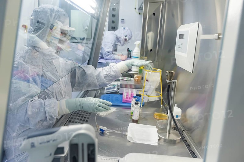Fraunhofer Institute for Cell Therapy and Immunology IZI
