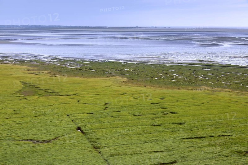 Aerial view over salt marsh