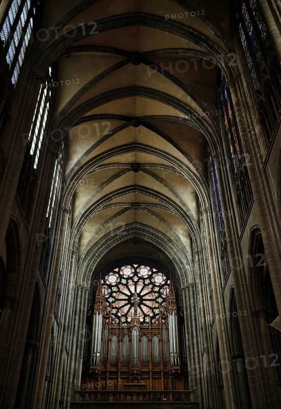 Interior view of nave
