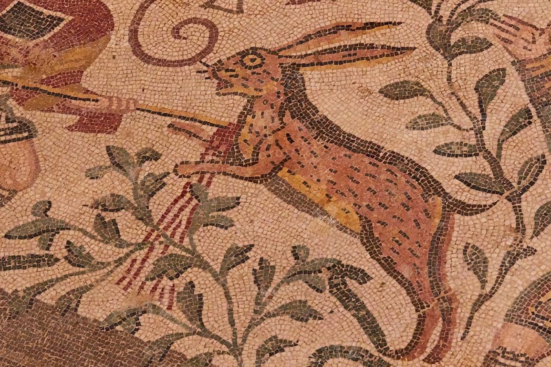 Hare