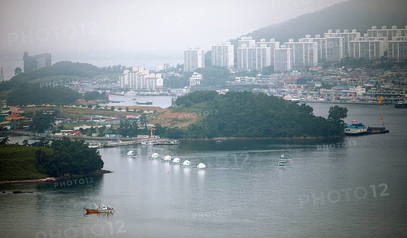 Yeosu city view in the morning mist