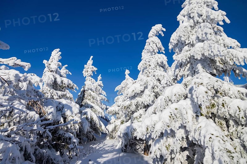 Winter on the Fichtelberg
