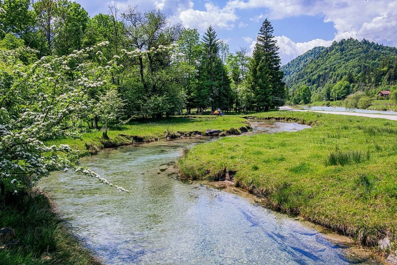 Spring Landscape with Muehlbach