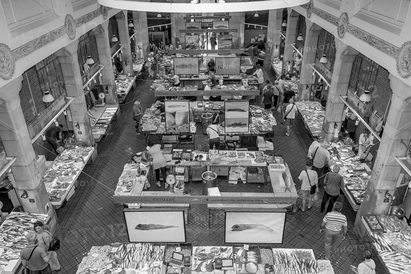 Black and white photo panorama of the hall from a bird's eye view of the stalls with crabs