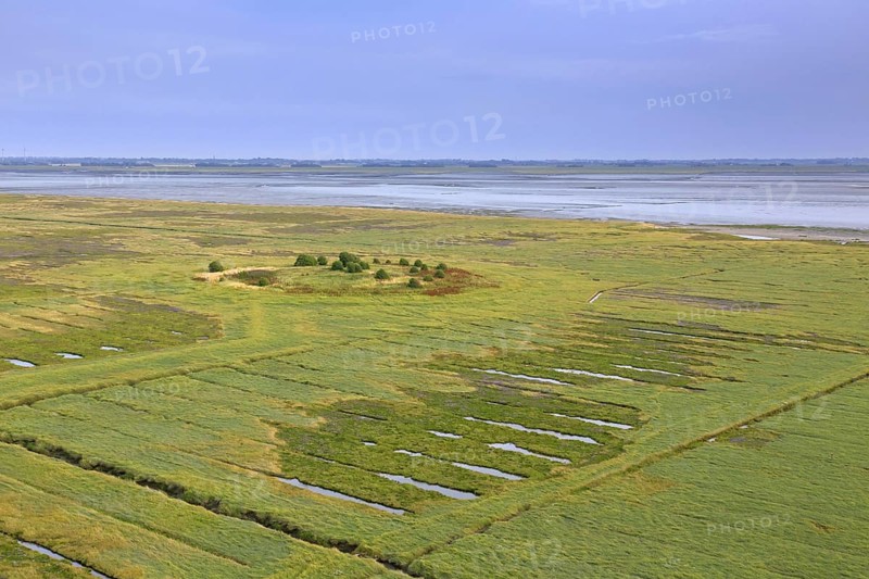 Aerial view over salt marsh