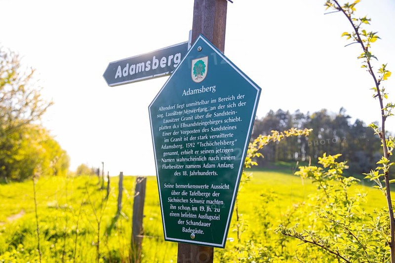 Cherry avenue on the Adamsberg with a view of the Koenigstein Fortress and the Lilienstein
