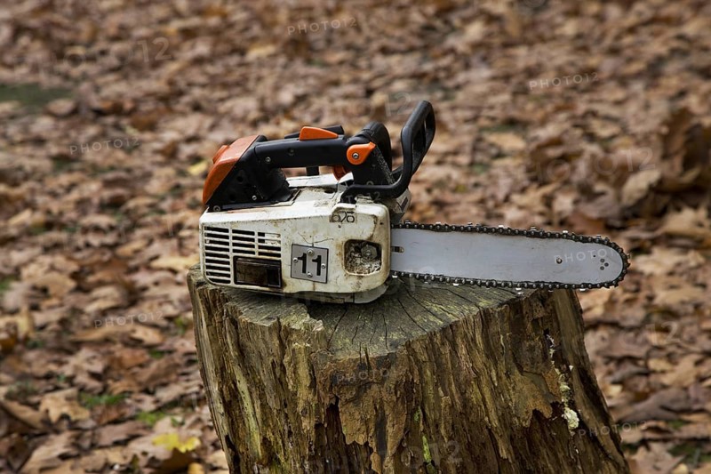 Chain saw resting on stump of cut tree in forest