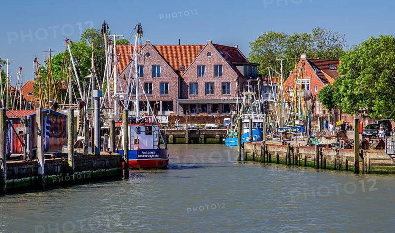 Historic cutter harbour with crab cutters