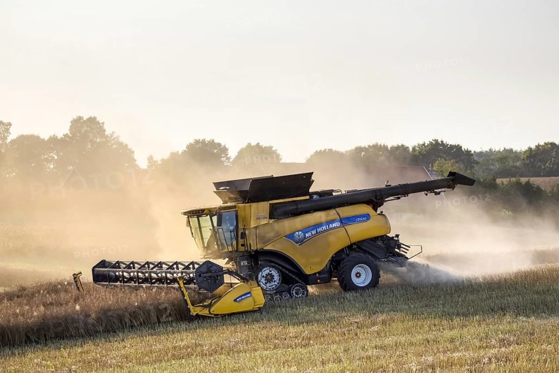 New Holland CR9. 90 Combine Harvester harvesting rapeseed crop in field in summer for production of animal feed