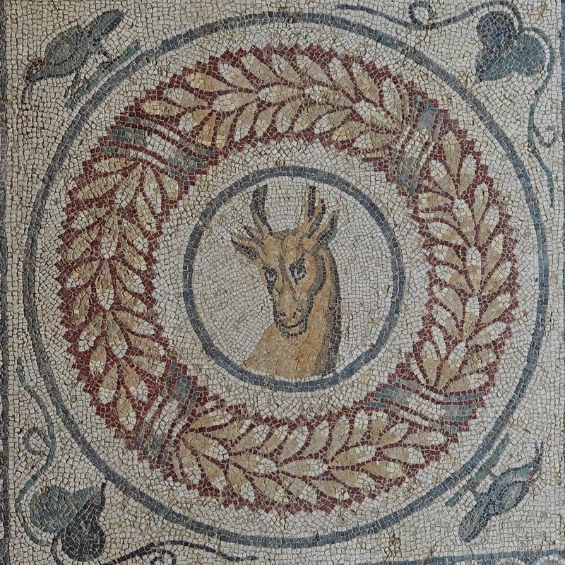 Doe