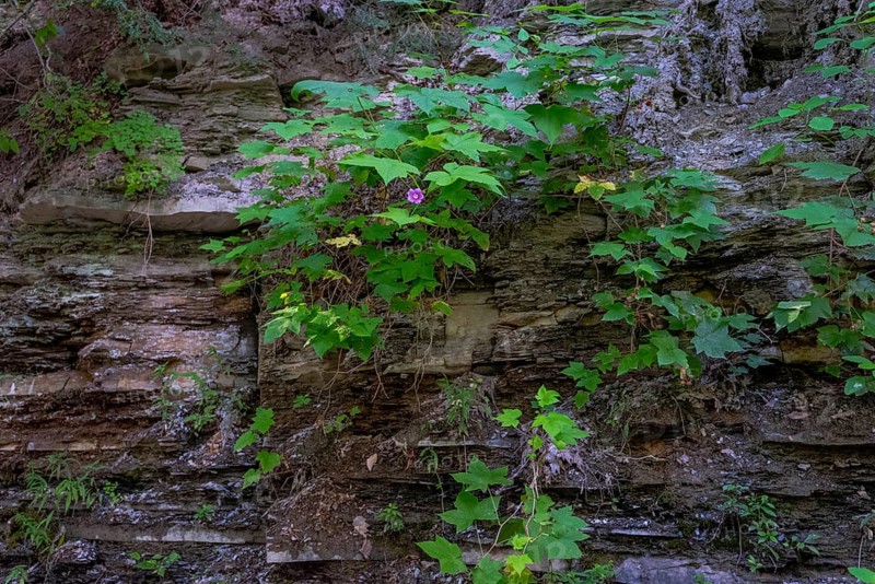 Letchworth State Park