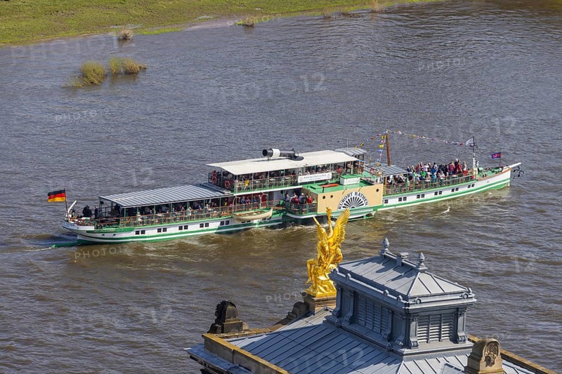 Fleet parade in Dresden Nine historic passenger steamers