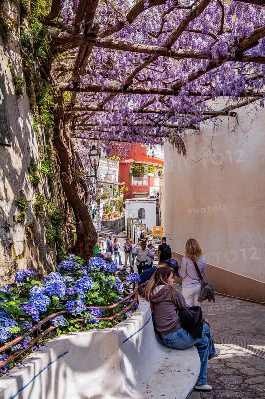 Shady alley in the centre