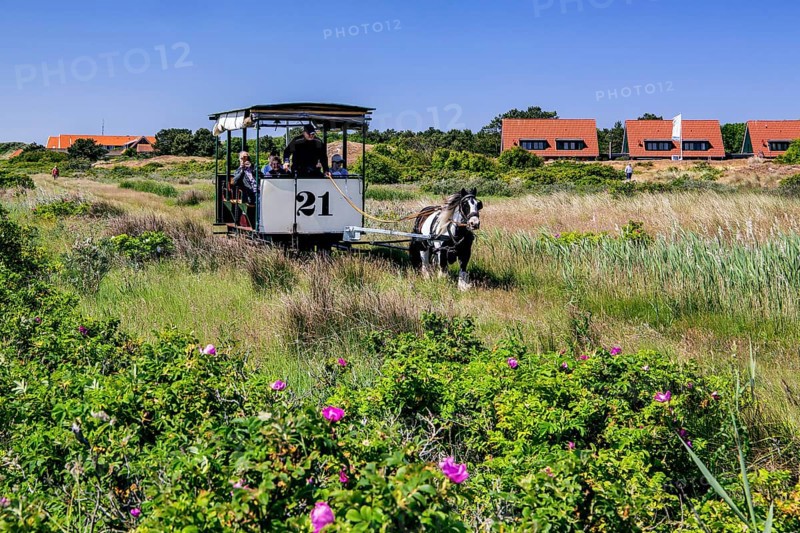 Historic horse-drawn tramway in the dunes