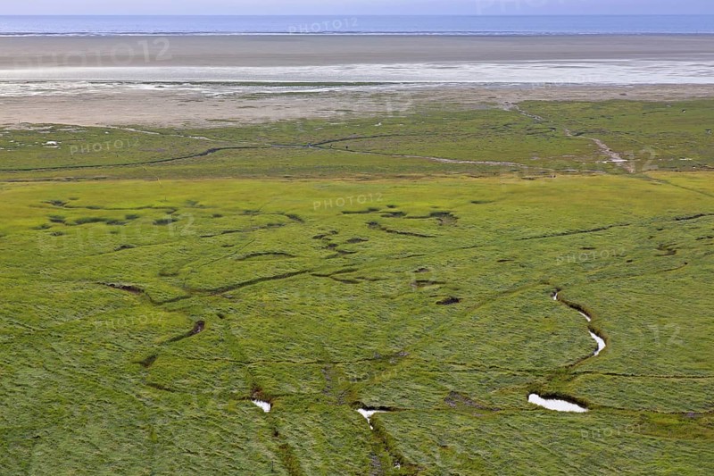 Aerial view over salt marsh