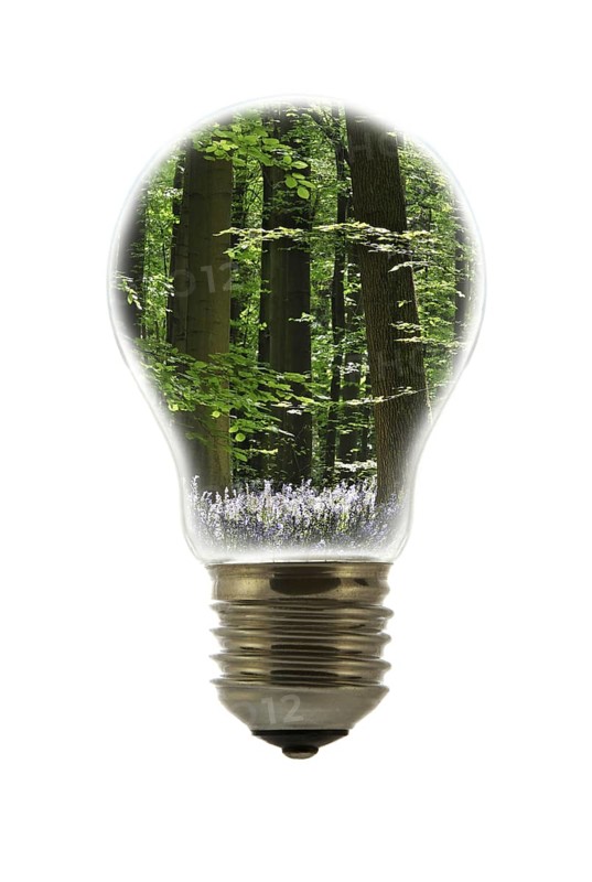 Trees in spring forest inside incandescent lamp
