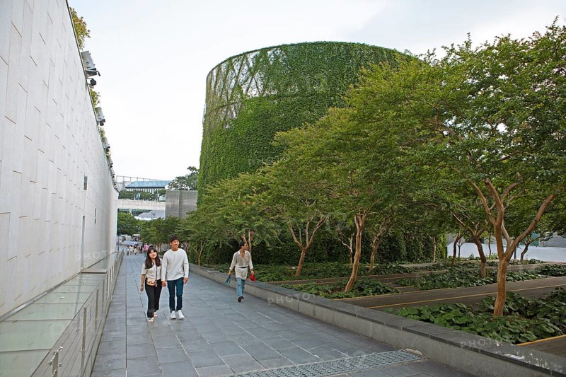 Tower overgrown with ivy at the ACC Asia Culture Centre
