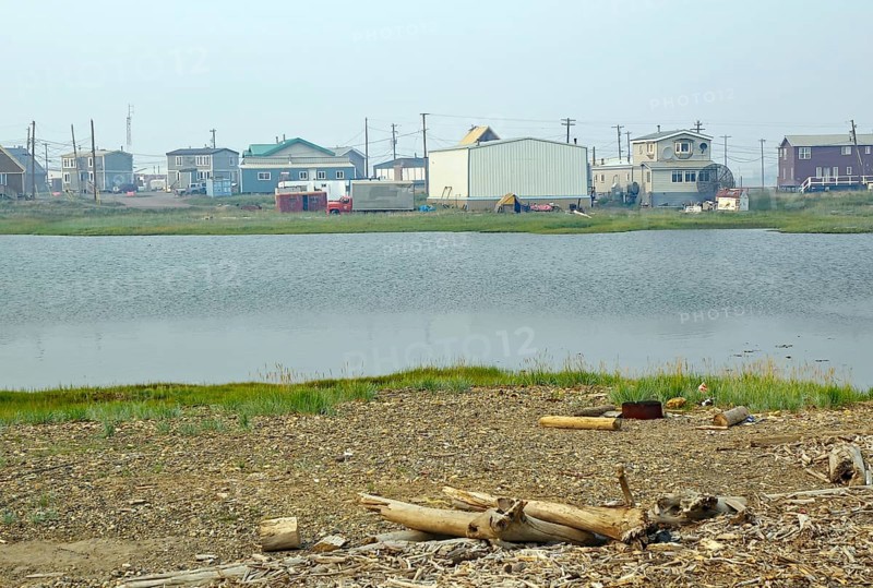 Beach littered with driftwood and simple houses
