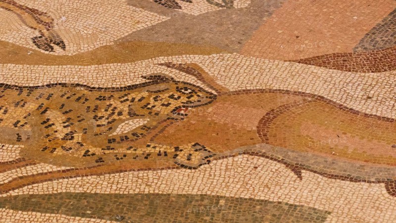 Hunting scene