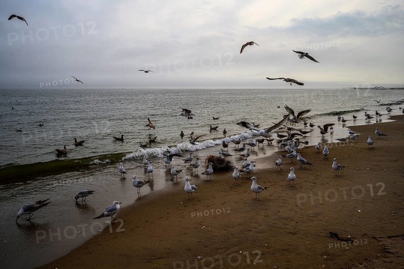 Cludy spring day on Brighton Beach