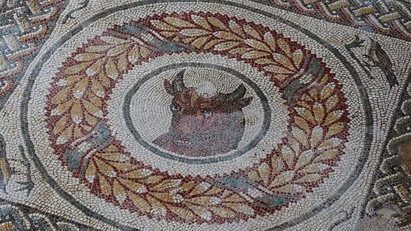 Bull's Head