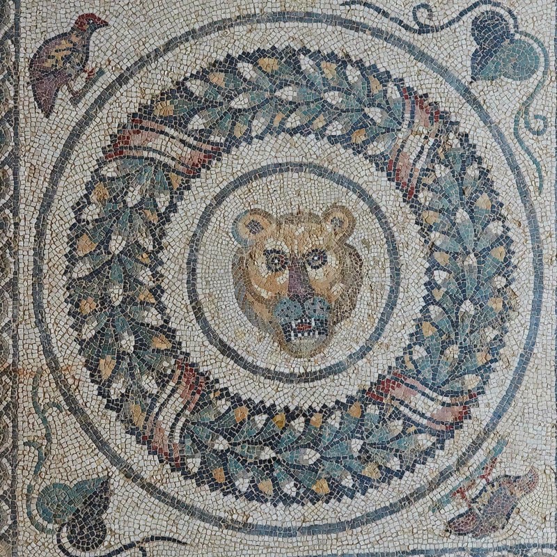 Tiger Head