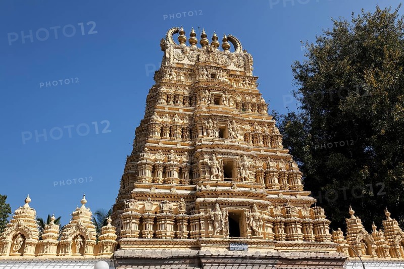 Sri Shweta Varahaswamy Temple
