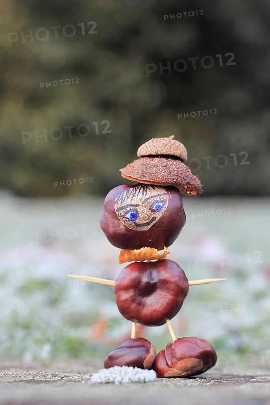 Funny chestnut figure in winter
