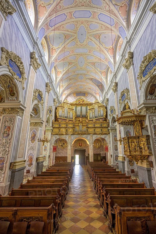 View of the organ