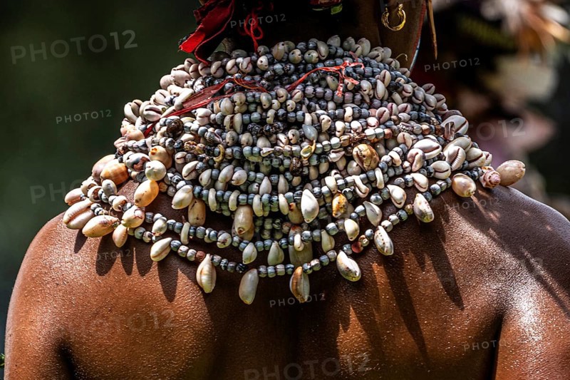 Warrior with valuable splendour jewellery