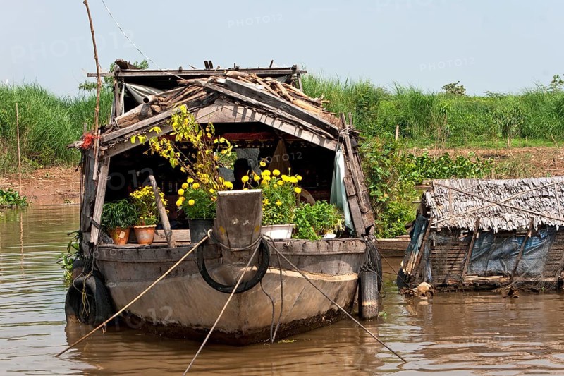 Old boat with flowers