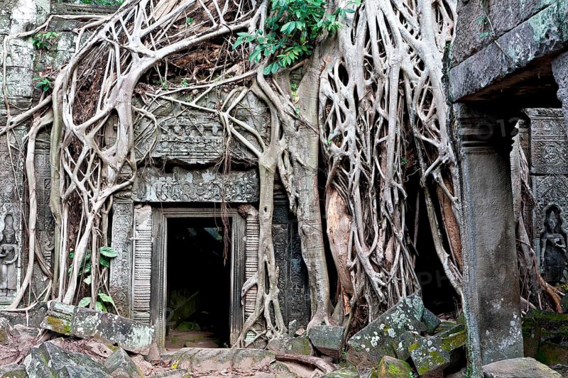 Wrapped Angkor Ta Prohm