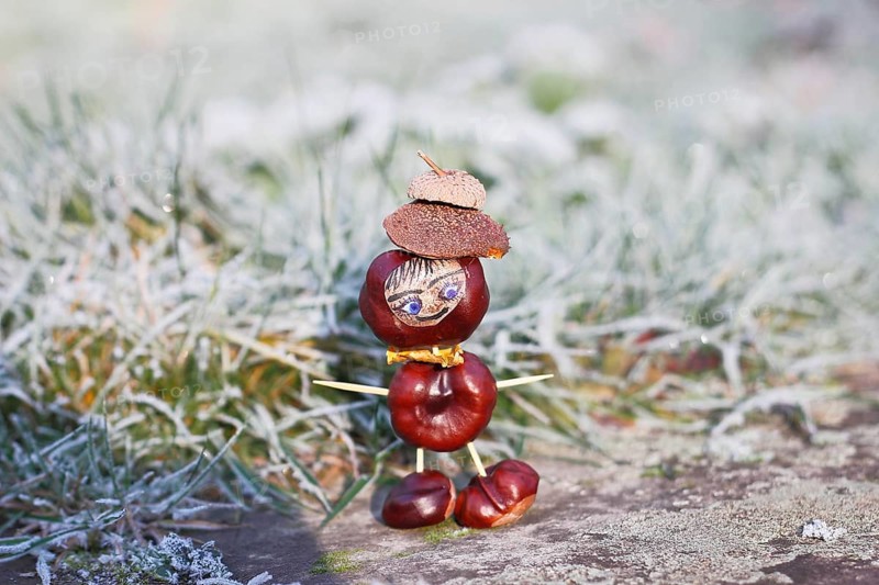 Funny chestnut figure in winter