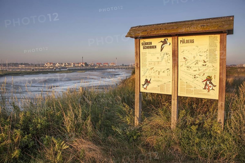 Salt marsh and mudflats at the nature reserve De IJzermonding at Nieuwpoort