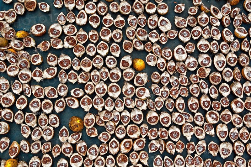 Betel nuts