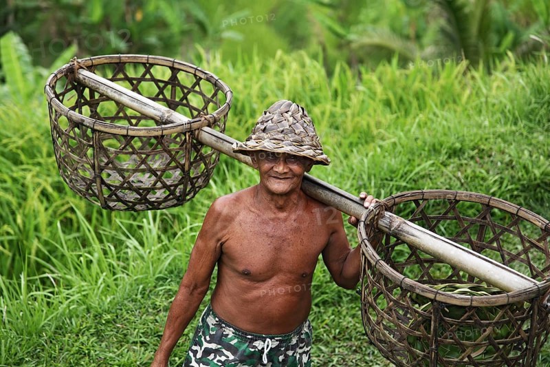Farmer with baskets