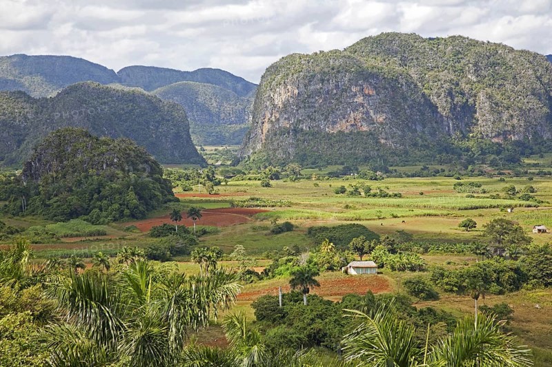 Traditional agriculture in the Vinales Valley