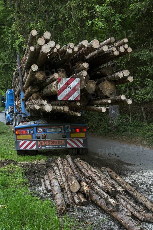 Red and white striped rear load marker after loading felled tree trunks on logging truck in forest