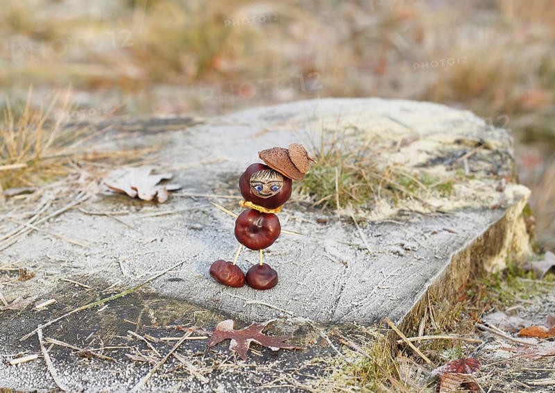 Funny chestnut figure in winter