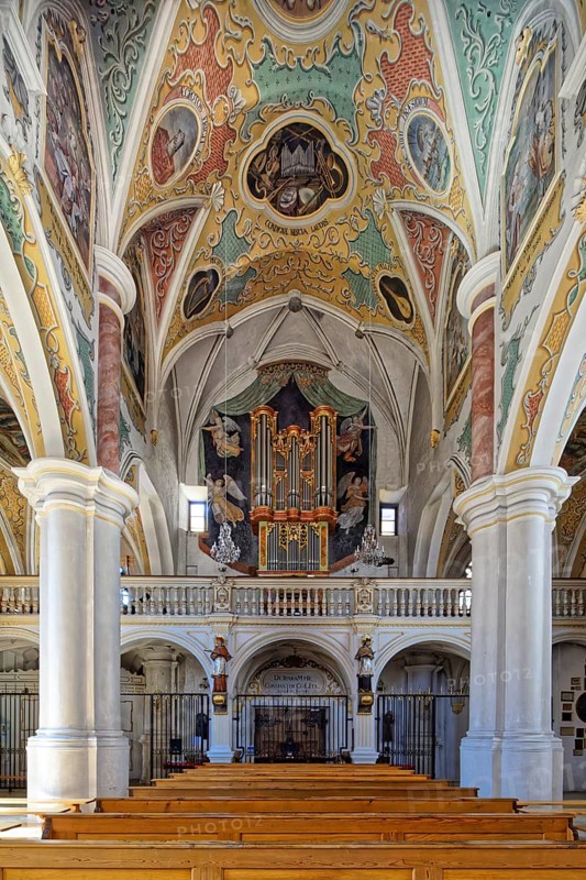 Organ