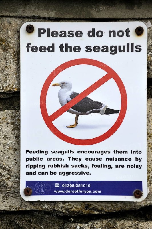 Please do not feed the seagulls prohibition sign in harbour at Dorset