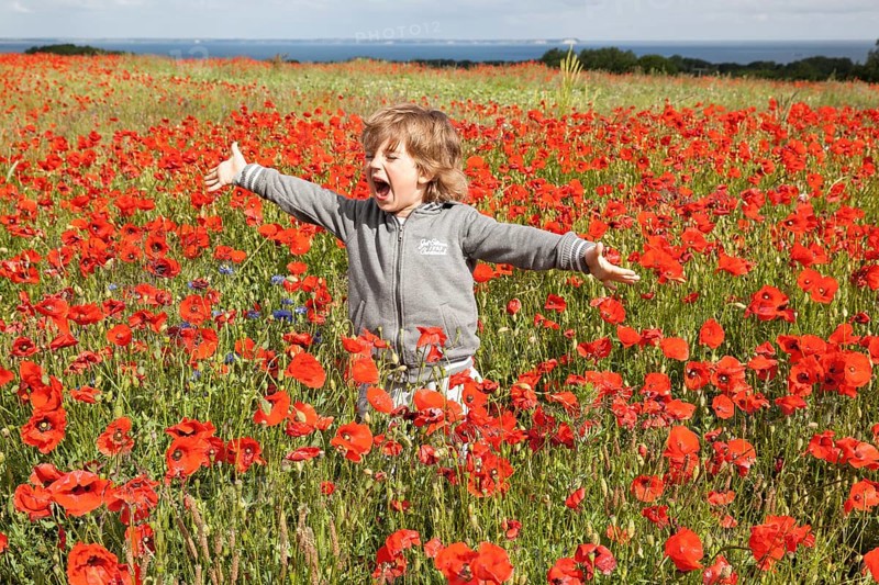 Boy in a field of poppies in blossom